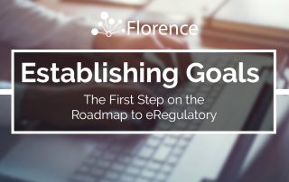 Establishing eRegulatory Goals